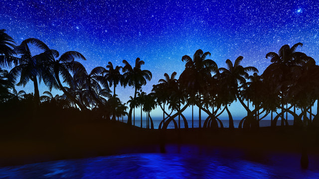 palm trees, sunset and the starry sky 3d rendering