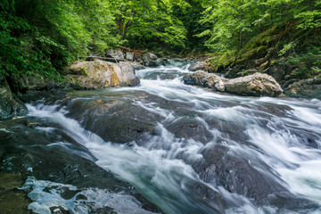 Mountain forest stream with fast flowing water and rocks, long exposure.