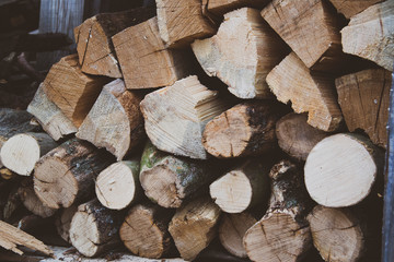 Pieces of trees for bathhouse. Logs of trees for fire. Firewood near the house for sauna. Wooden...