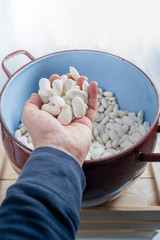 Cook's hand picking up beans from a rustic pot. Beans from La Granja.Segovia.Spain.