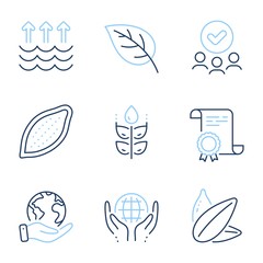 Gluten free, Cocoa nut and Sunflower seed line icons set. Diploma certificate, save planet, group of people. Organic tested, Evaporation and Leaf signs. Vector