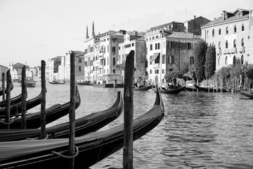 Gondolas moored at the Grand Canal in Venice, northern Italy.