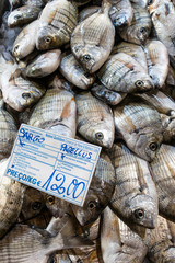 Seabream in fish market, Tavira, Algarve, Portugal