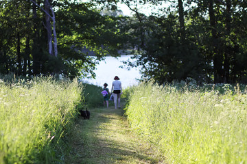 Fototapeta premium Two girls in summer dresses walking with small black dog on footpath in the green summer field