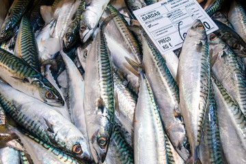 Varieties of fresh fish in market in Tavira, Algarve Portugal
