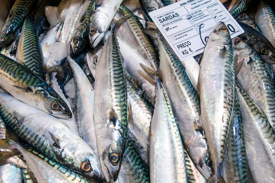 Varieties of fresh fish in market in Tavira, Algarve Portugal