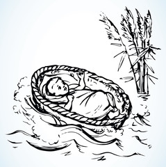 Little Moses in a basket. Vector drawing