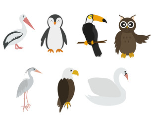 Bird set with pelican, penguin, toucan, owl, eagle, swan, heron cartoon colorful vector illustration. Educational material