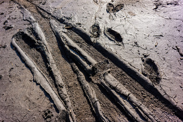 cracks on the surface of drying sludge and traces of the feet of a person and tires of a car.