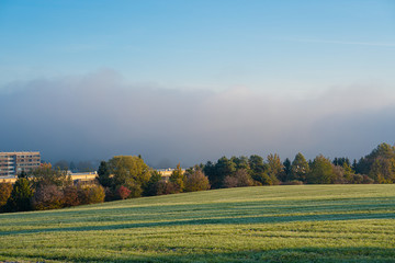 Spring field near city an early morning