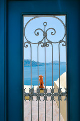 Sea Against Sky Seen Through Beautiful Blue Door, Santorini, Greece