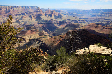 Arizona / USA - August 01, 2015: South Rim Grand Canyon landscape, Arizona, USA