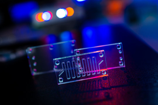 Organ-on-a-chip (OOC) - microfluidic device chip that simulates biological organs that is type of artificial organ. Prototype of design lab-on-a-chip in microfluidic laboratory