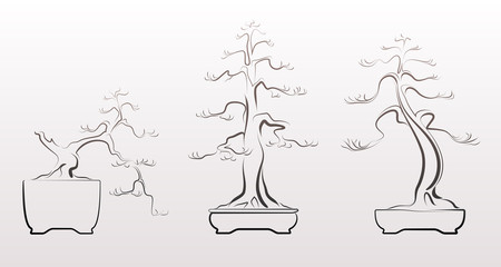 Stylized bonsai trees in vector. Semi-cascade, official and semi-official.