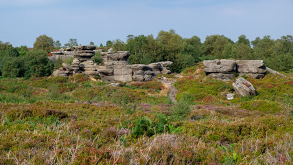 Scenic view of Brimham Rocks in Yorkshire Dales National Park