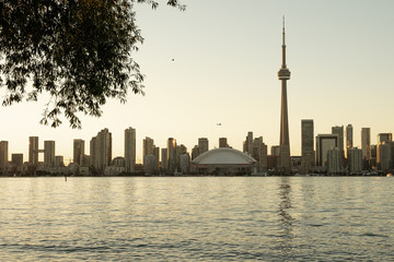 Toronto skyline from Toronto Island