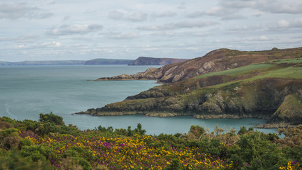 Fototapeta premium Pembrokeshire Coastline, Wales UK