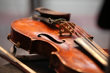 Violine