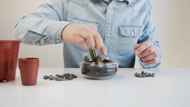 Young male decorating a pot with a cactus plant 