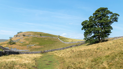 Fototapeta premium View of the countryside around the village of Conistone in the Yorkshire Dales National Park