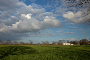 rural field with farm house and scenic clouds in spring