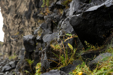 Nature in Iceland - Golden Circle