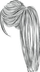 Plaited ponytail hairstyle, long straight hair vector illustration