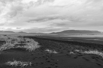 Iceland's coast view, Golden Circle (black and white)
