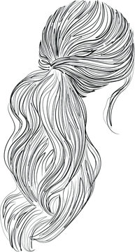 Ponytail Drawing Images – Browse 7,927 Stock Photos, Vectors, and Video | Adobe Stock Ponytail Drawing Images – Browse 7,927 Stock Photos, Vectors, and Video | Adobe Stock