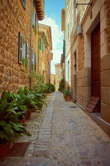 Fototapeta na wymiar Pedestrian street in a small town. The street is made of stones and the houses too. Green plants, doors and windows. It is summer in Mallorca, Spain.