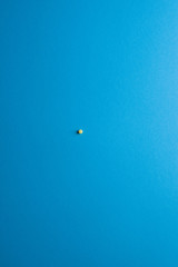 Yellow medical pills on blue background with copy space for text. Alternative homeopathy medicine, healthcare and wellness concept.