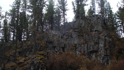 rock