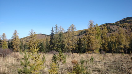 landscape in the mountains