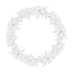 Hand drawn monochrome crocus flowers round wreaths. Floral design element. Isolated on white background. Vector illustration