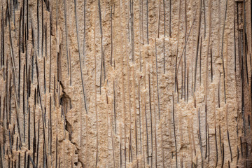 Fototapeta premium Wood texture background for interior exterior decoration and industrial construction design