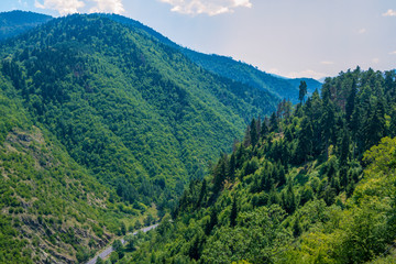Naklejka premium Beautiful summer landscape – mountains covered with green trees, bushes and grass, blue sky.