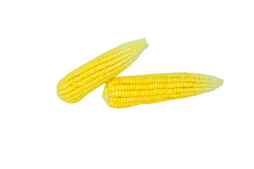 Two yellow colored sweet corn arranged on top of each other on a white background