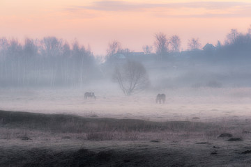 In the fog ...