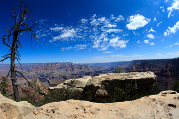 Arizona / USA - August 01, 2015: South Rim Grand Canyon landscape, Arizona, USA