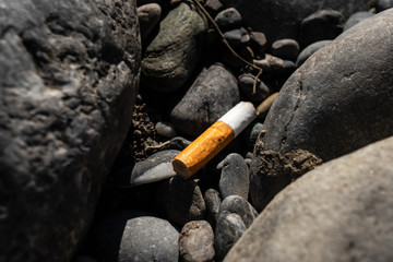 Environmental pollution - cigarette butts are in nature