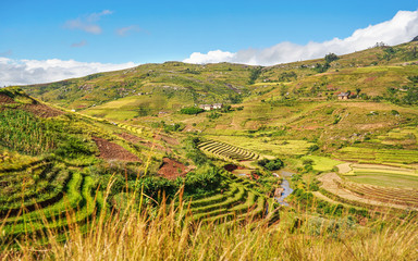Typical Madagascar landscape - green and yellow rice terrace fields on small hills with clay houses in Andringitra region near Sendrisoa