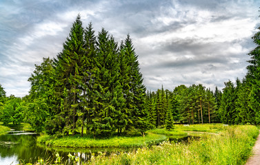 Swan Ponds at Alexander Park in Tsarskoye Selo - Saint Petersburg, Russia