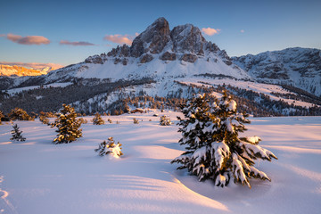 the snowcapped Sass De Putia and trees, Passo delle Erbe, Dolomites, Trentino Alto Adige, Italy