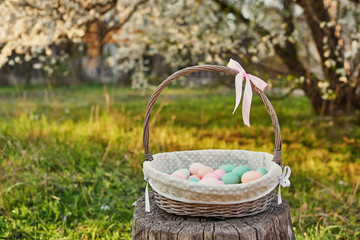 Easter basket on background of blossoming tree. Template Easter Greeting Card. Easter eggs and flowers . Easter decoration with eggs. Spring holiday concept with copy space. Blooming garden