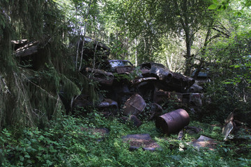 Schwedischer Wald Lost Place