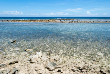 Roatan Island Rocky Beach Landscape