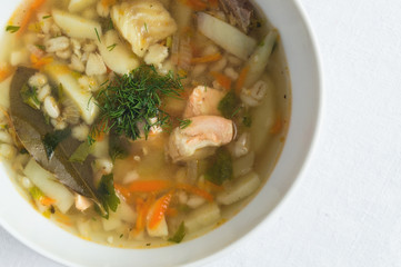 fish soup with vegetables decorated with dill