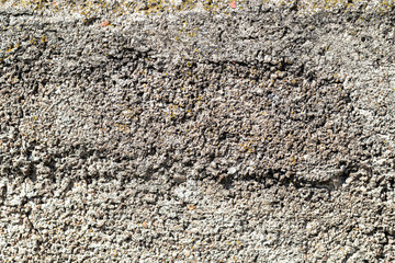 Old concrete wall, natural texture. Light background. The shadows.