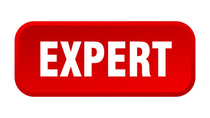 expert button. expert square 3d push button