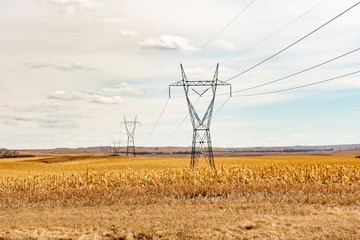 electricity  power lines in field